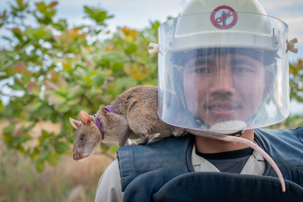 HeroRAT, Imeldo working in Cambodia