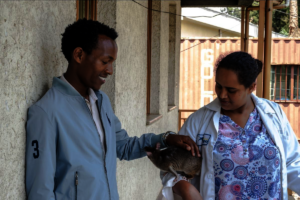 Desalegn meeting one of the HeroRATs