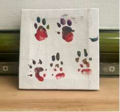 Pawprints in Time (9.8cm x 9.8cm)