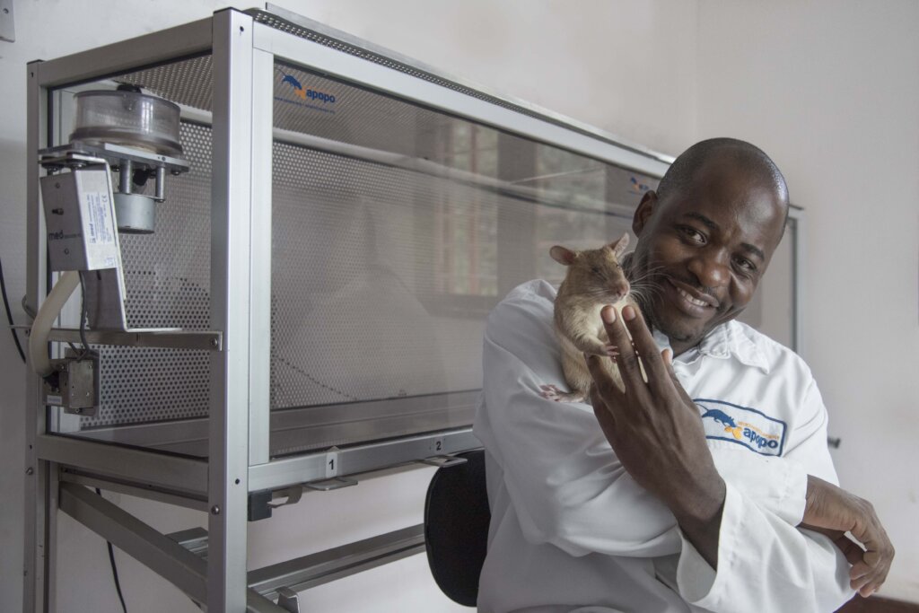 HeroRAT and Lab Technician detecting tuberculosis