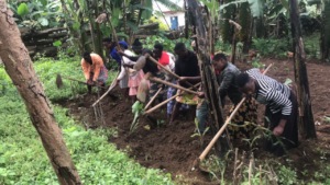 Cleaning Up Fields at the Angel Projects Compound