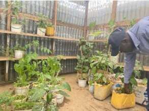 Checking on the Plants