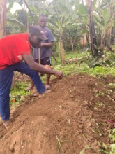 Planting