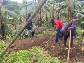 Clearing Plots