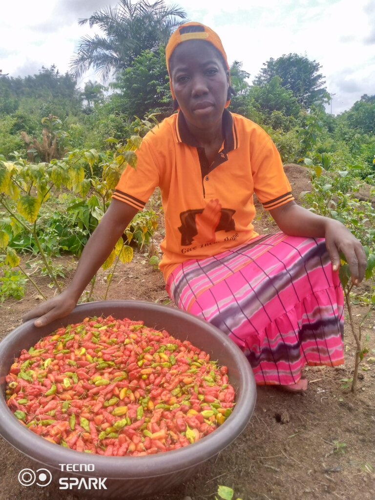 Empowering  Rural Women with Vocational Skills