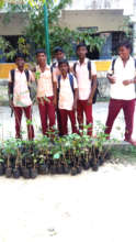 plant distribution program