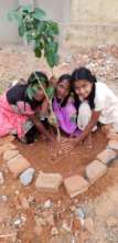 Children tree planting program