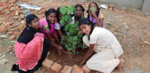 Children tree planting program