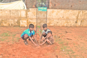 Children planting with CHHASE tree guard