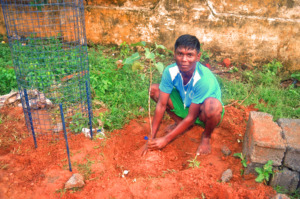Children planting with CHHASE tree guard