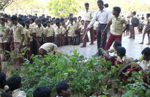One of our tree distribution program