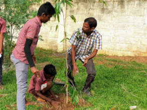 Tree planting in school