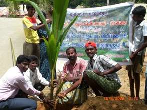 Our tree planting programme