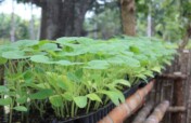 Ukraine Sanitation and Food Security Project
