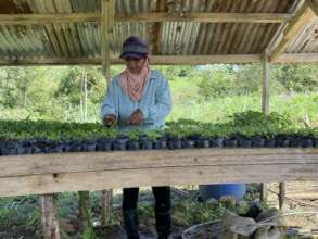 Individualized support