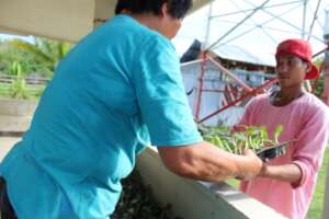 Mobilizing volunteers