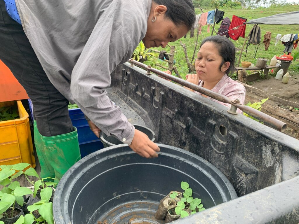 Continue with assistance