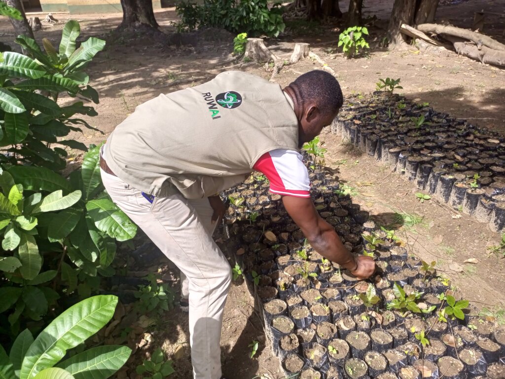 ANNUAL COMMUNITY TREE PLANTING FOR LIVELIHOODS
