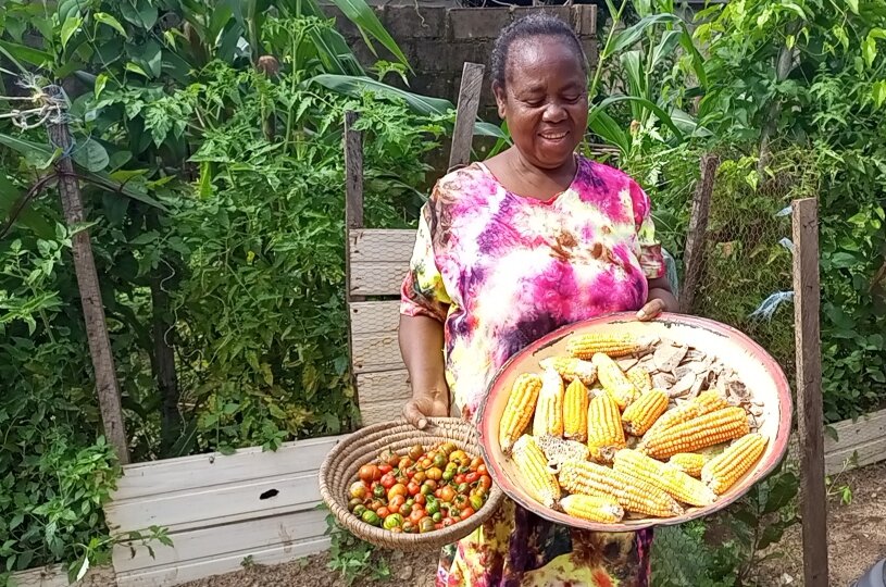 Food Forest practices improve food quality