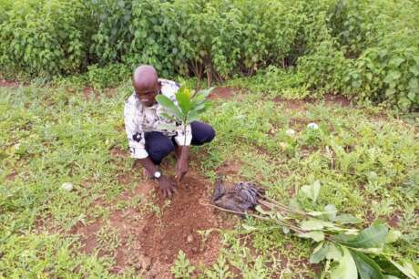 ANNUAL COMMUNITY TREE PLANTING FOR LIVELIHOODS