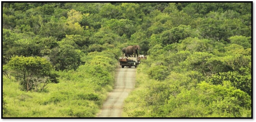 Protected Area Expansion Project