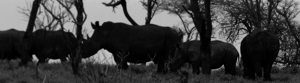 Protected Area Expansion Project