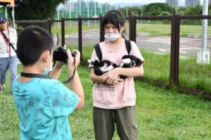 Animal Welfare Paws & Pixels Class