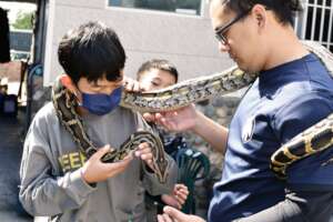 Animal Welfare - Year of the Snake