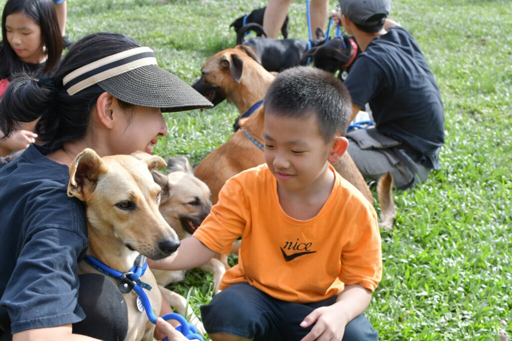 Sponsor meals and education for Taiwanese children