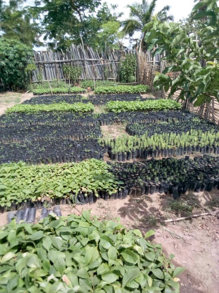 Protect Environment for our Protection