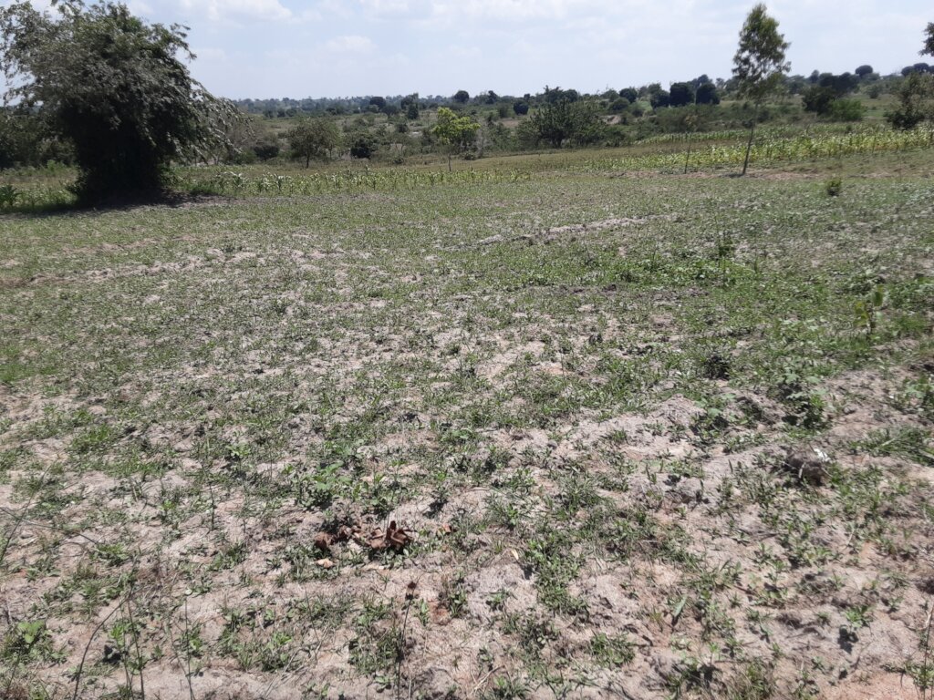 Protect Environment for our Protection