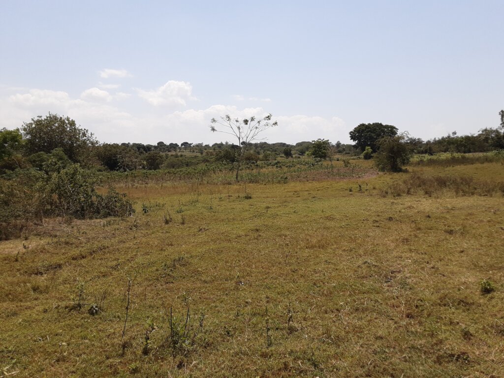 Protect Environment for our Protection