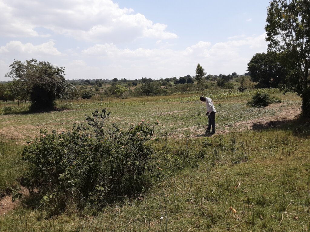 Protect Environment for our Protection