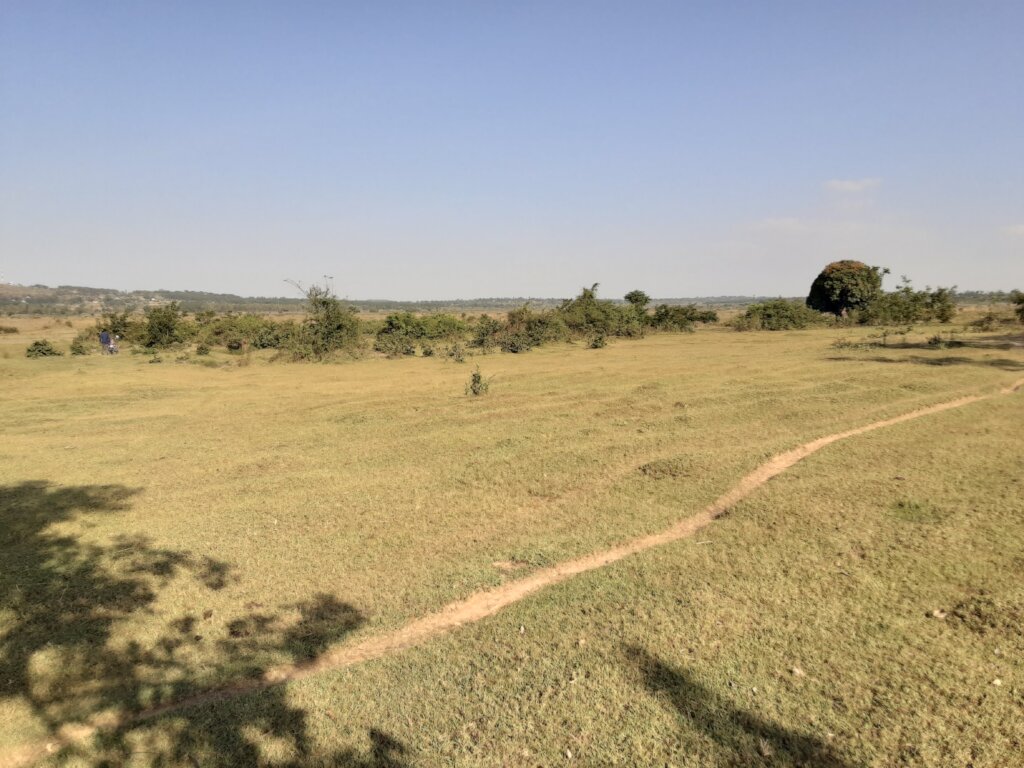 Protect Environment for our Protection
