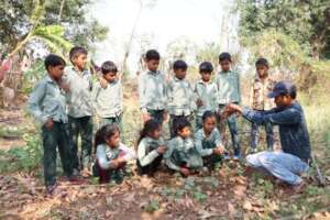 Nature walk activity by the teacher