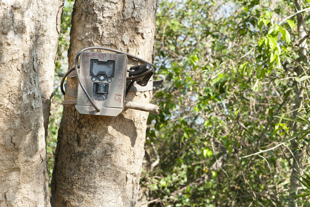 Facilitating human-elephant coexistence in Asia