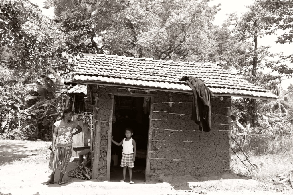 Facilitating human-elephant coexistence in Asia