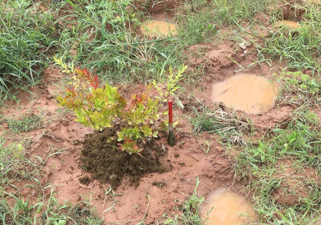 Facilitating human-elephant coexistence in Asia