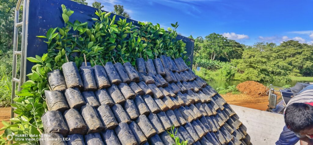 Facilitating human-elephant coexistence in Asia
