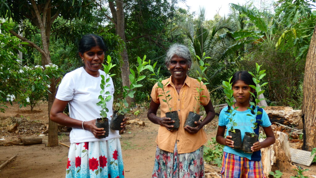 Facilitating human-elephant coexistence in Asia