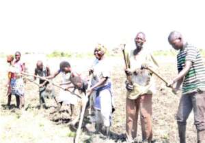 Development of farmland by beneficiaries