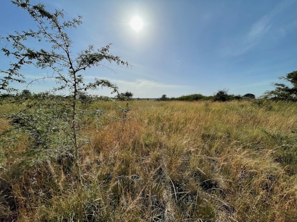 Hunger Relief for Most Vulnerable People in Uganda