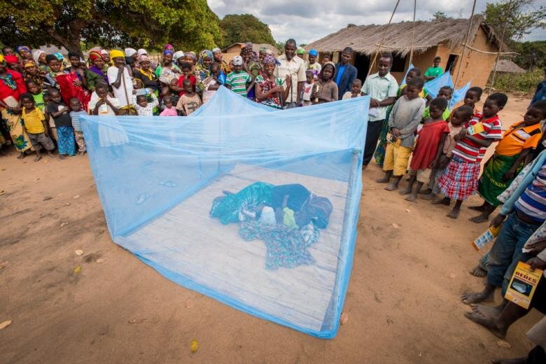 Freedom From Malaria