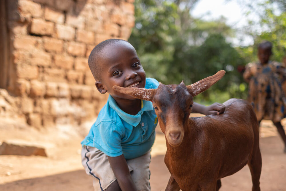 Buy an Animal. Change a Life!