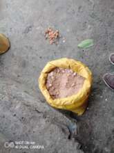 The soil which we mixp up together with powder