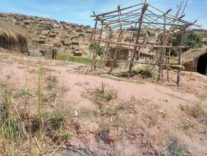 All trees have been cut by refugees in Kalemie
