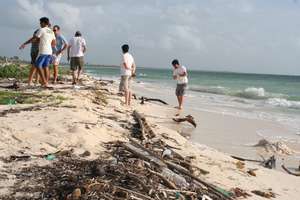 Community Beach Clean
