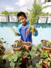 Student holding up his carrot harvest