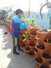 Student watering his planter