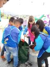 Students planting